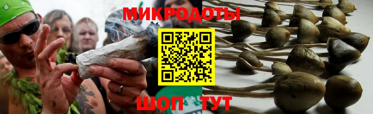 даркнет сайт  Вход с VPN  Мегион  Псилоцибиновые грибы GOLDEN TEACHER 